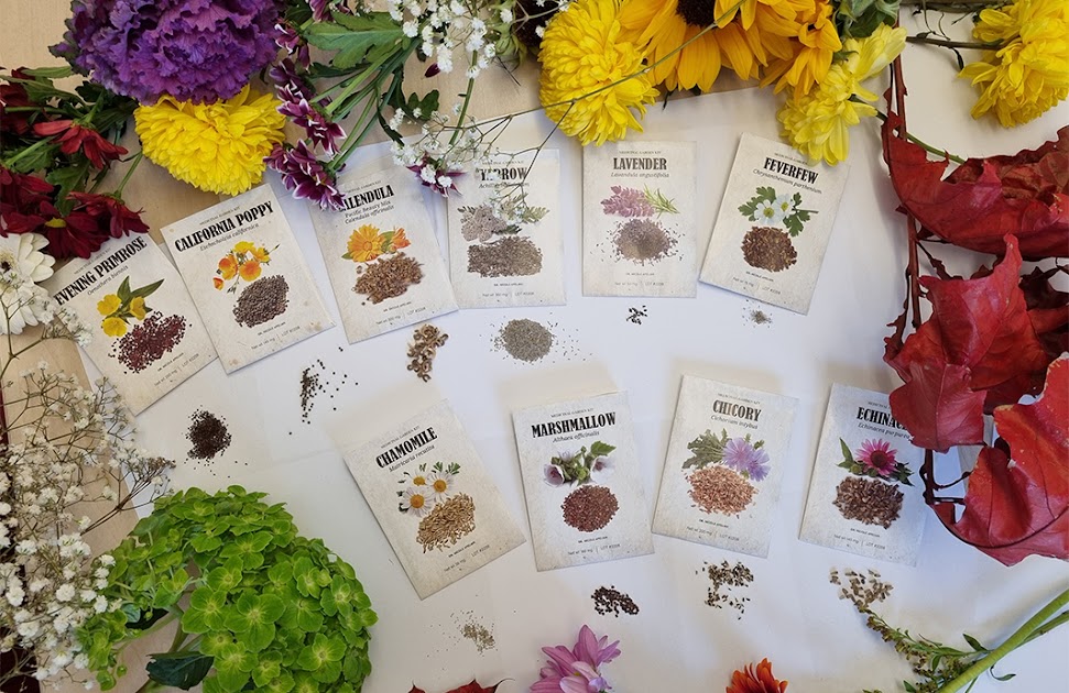 Medicinal Garden Kit herbs growing at home