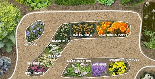 medicinal garden kit how to use